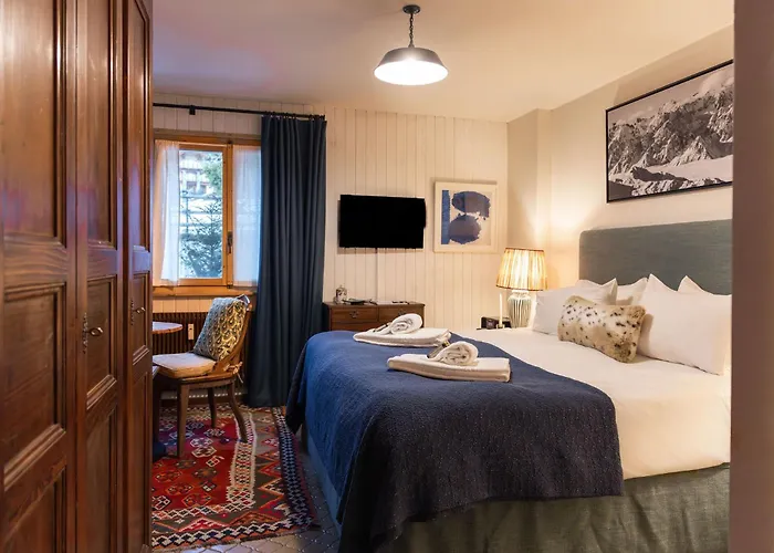 La Ruinette-cosy In Centre * 韦尔比耶